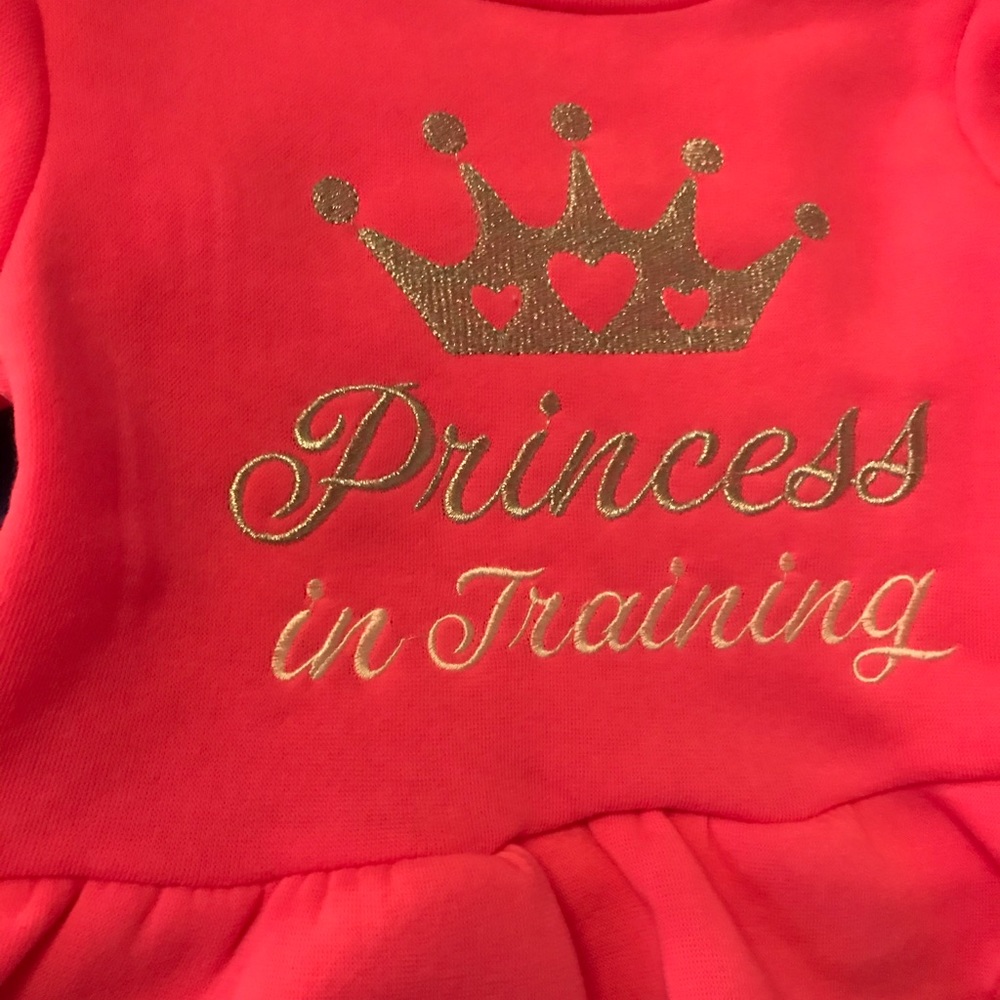 Size 2T Princess In Training Sweat Set - Picture 2 of 5